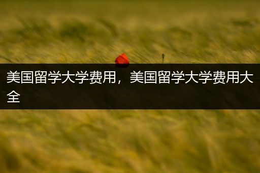 美国留学大学费用，美国留学大学费用大全