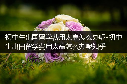 初中生出国留学费用太高怎么办呢-初中生出国留学费用太高怎么办呢知乎