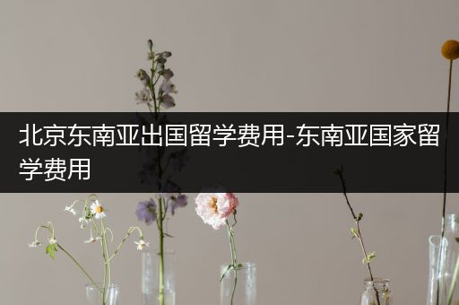 北京东南亚出国留学费用-东南亚国家留学费用