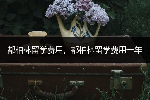都柏林留学费用，都柏林留学费用一年