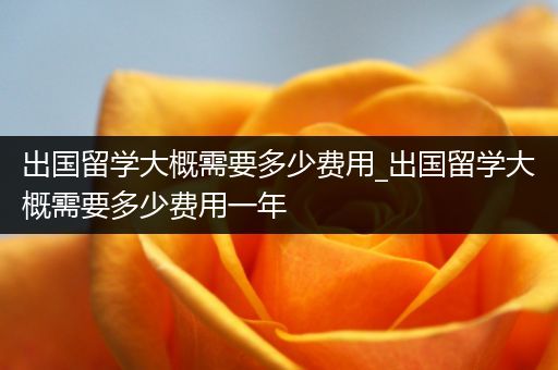 出国留学大概需要多少费用_出国留学大概需要多少费用一年