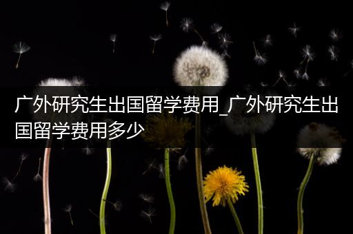 广外研究生出国留学费用_广外研究生出国留学费用多少