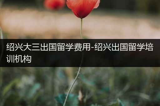 绍兴大三出国留学费用-绍兴出国留学培训机构