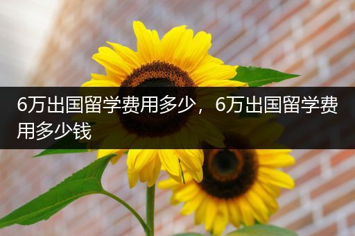 6万出国留学费用多少，6万出国留学费用多少钱