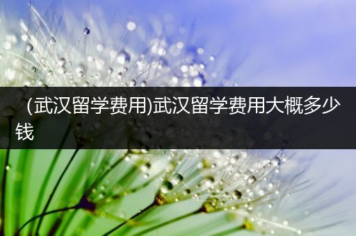 （武汉留学费用)武汉留学费用大概多少钱