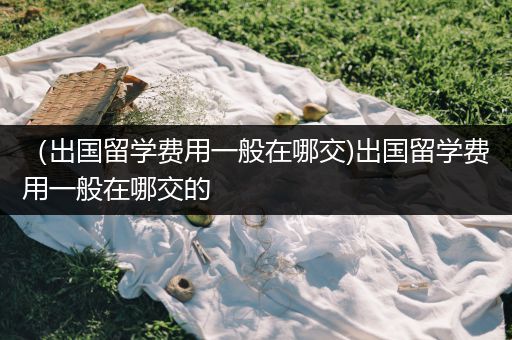 （出国留学费用一般在哪交)出国留学费用一般在哪交的