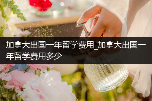 加拿大出国一年留学费用_加拿大出国一年留学费用多少