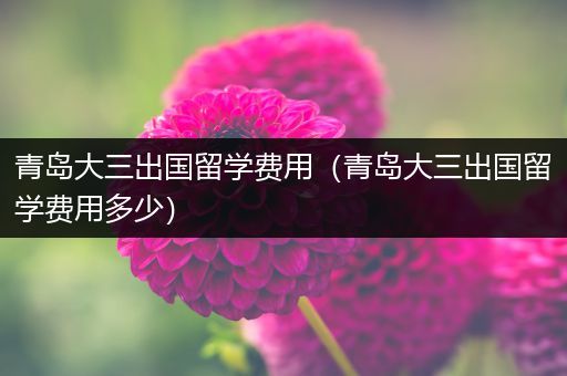青岛大三出国留学费用（青岛大三出国留学费用多少）