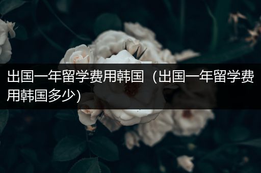 出国一年留学费用韩国（出国一年留学费用韩国多少）