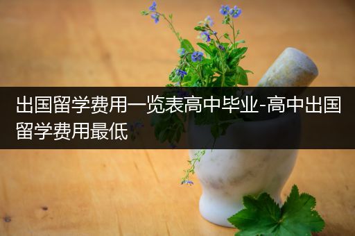 出国留学费用一览表高中毕业-高中出国留学费用最低
