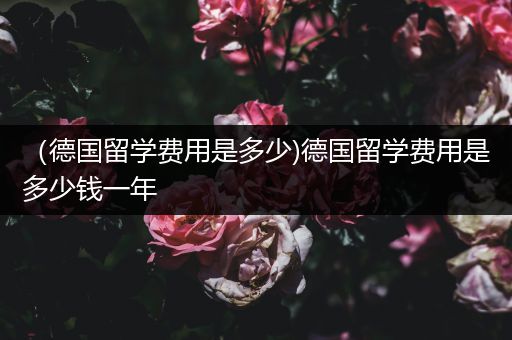 （德国留学费用是多少)德国留学费用是多少钱一年