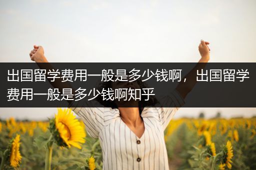 出国留学费用一般是多少钱啊，出国留学费用一般是多少钱啊知乎