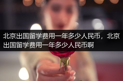 北京出国留学费用一年多少人民币，北京出国留学费用一年多少人民币啊