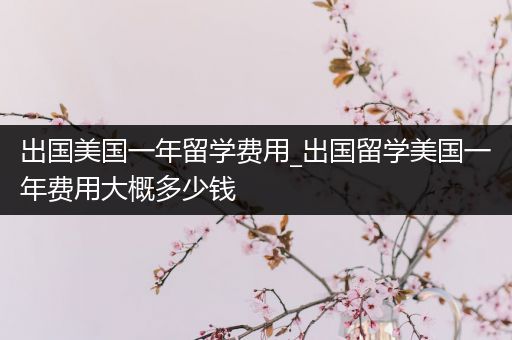 出国美国一年留学费用_出国留学美国一年费用大概多少钱