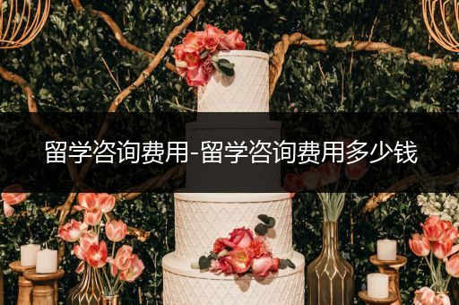 留学咨询费用-留学咨询费用多少钱