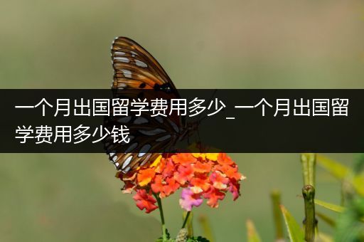 一个月出国留学费用多少_一个月出国留学费用多少钱