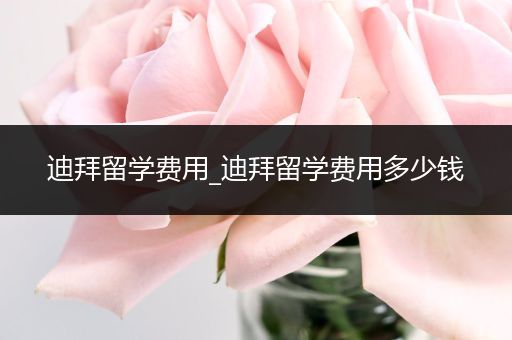 迪拜留学费用_迪拜留学费用多少钱