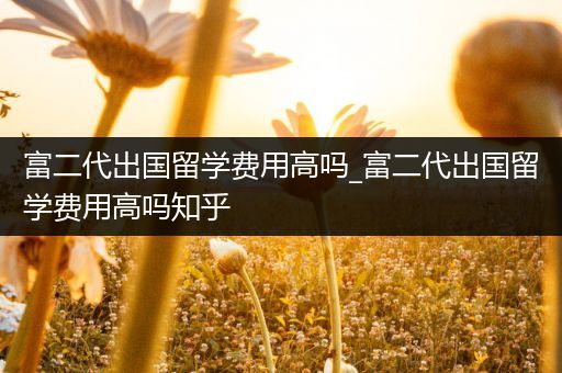 富二代出国留学费用高吗_富二代出国留学费用高吗知乎