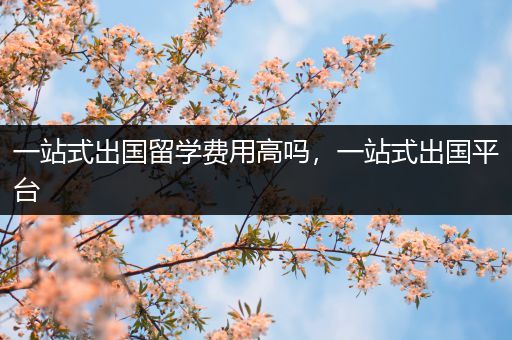 一站式出国留学费用高吗，一站式出国平台