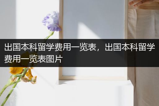 出国本科留学费用一览表，出国本科留学费用一览表图片