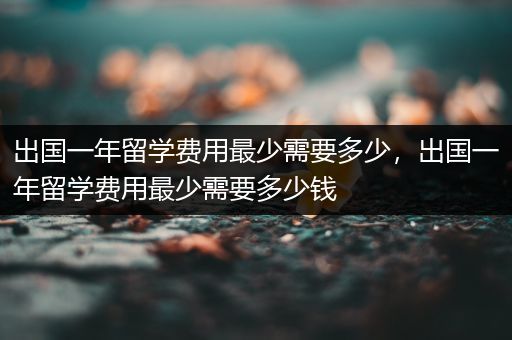 出国一年留学费用最少需要多少，出国一年留学费用最少需要多少钱