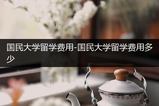国民大学留学费用-国民大学留学费用多少