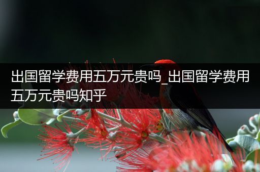 出国留学费用五万元贵吗_出国留学费用五万元贵吗知乎