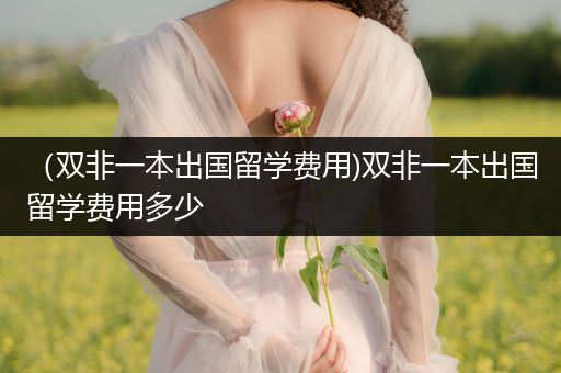 （双非一本出国留学费用)双非一本出国留学费用多少