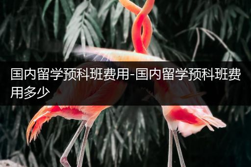国内留学预科班费用-国内留学预科班费用多少