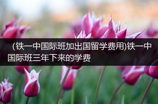 （铁一中国际班加出国留学费用)铁一中国际班三年下来的学费