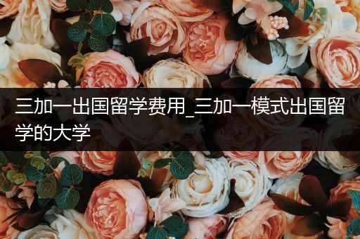 三加一出国留学费用_三加一模式出国留学的大学