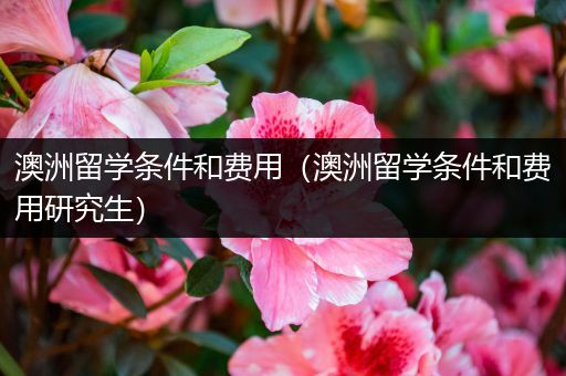 澳洲留学条件和费用（澳洲留学条件和费用研究生）