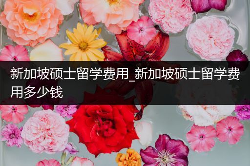 新加坡硕士留学费用_新加坡硕士留学费用多少钱