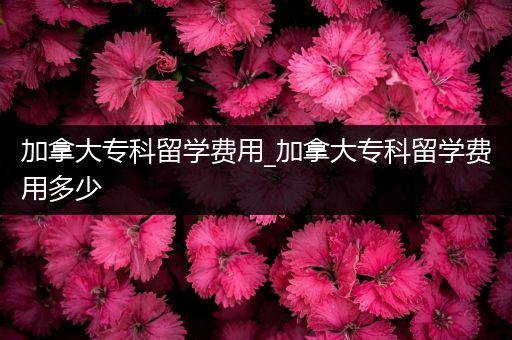 加拿大专科留学费用_加拿大专科留学费用多少