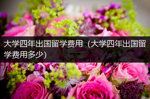 大学四年出国留学费用（大学四年出国留学费用多少）