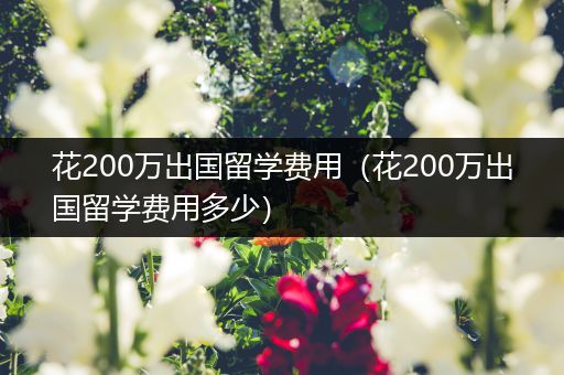 花200万出国留学费用（花200万出国留学费用多少）