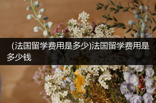 （法国留学费用是多少)法国留学费用是多少钱