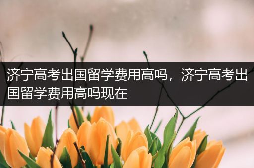 济宁高考出国留学费用高吗，济宁高考出国留学费用高吗现在