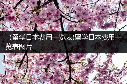 （留学日本费用一览表)留学日本费用一览表图片