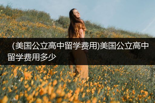 （美国公立高中留学费用)美国公立高中留学费用多少