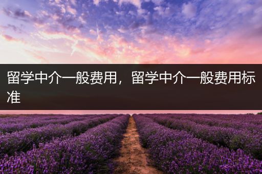 留学中介一般费用，留学中介一般费用标准