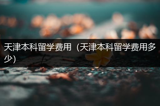 天津本科留学费用（天津本科留学费用多少）