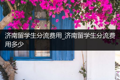 济南留学生分流费用_济南留学生分流费用多少