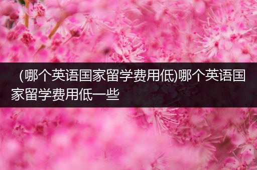 （哪个英语国家留学费用低)哪个英语国家留学费用低一些