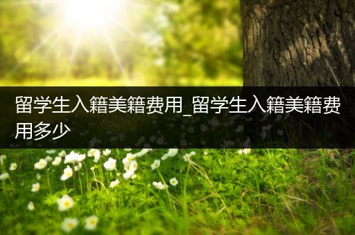 留学生入籍美籍费用_留学生入籍美籍费用多少