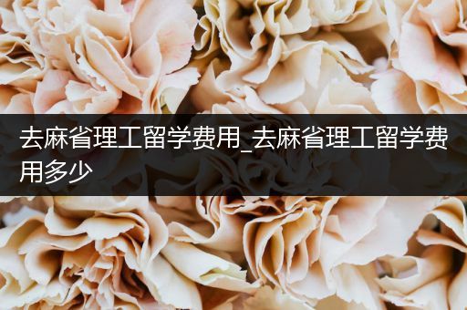 去麻省理工留学费用_去麻省理工留学费用多少