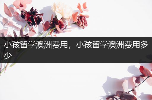 小孩留学澳洲费用，小孩留学澳洲费用多少