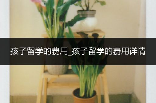 孩子留学的费用_孩子留学的费用详情