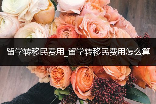 留学转移民费用_留学转移民费用怎么算
