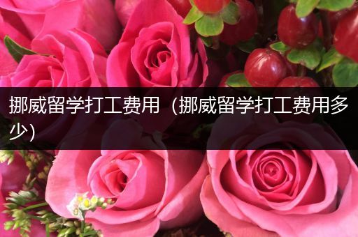 挪威留学打工费用（挪威留学打工费用多少）